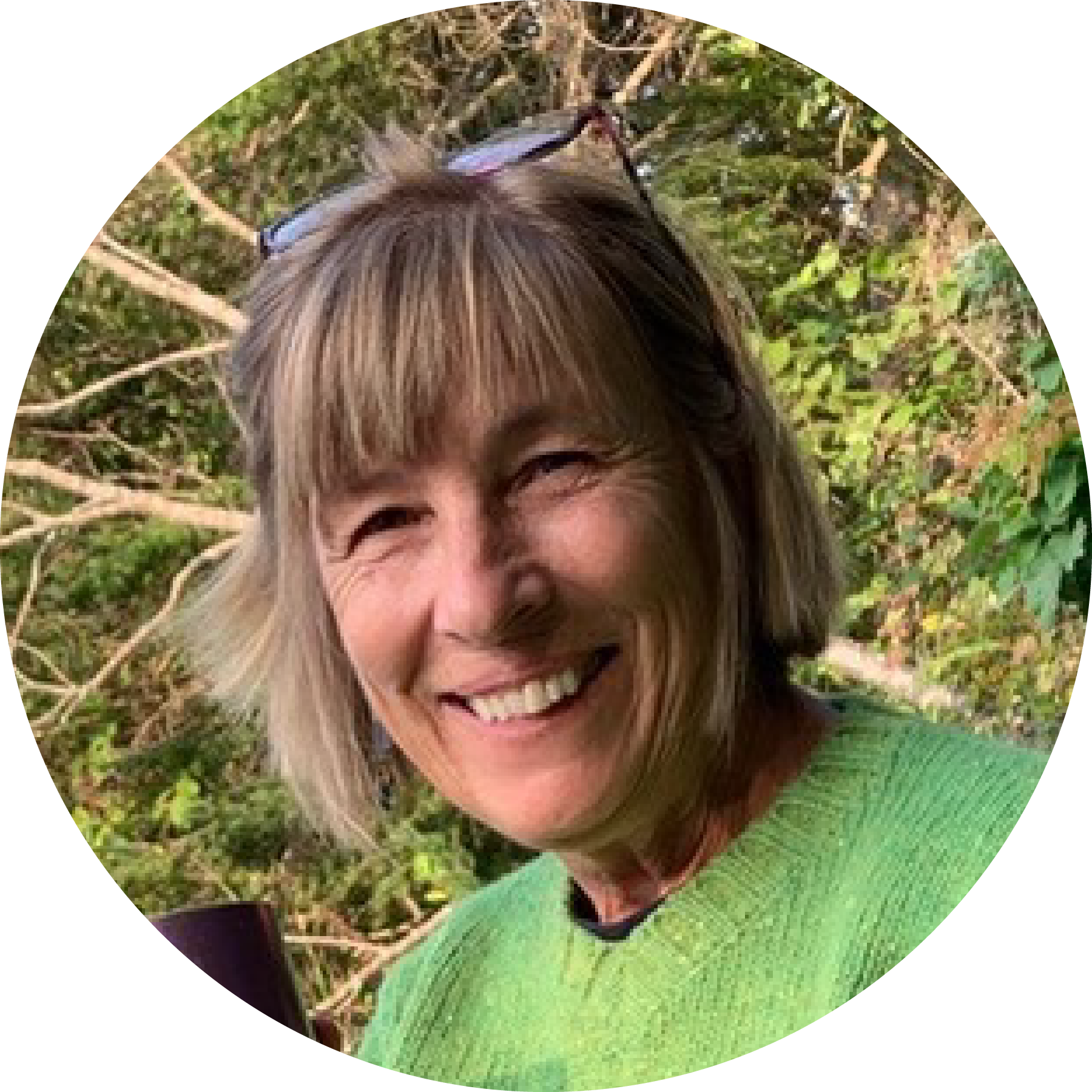 Jean Beal Maine Artist Cheap Sale head.hesge.ch